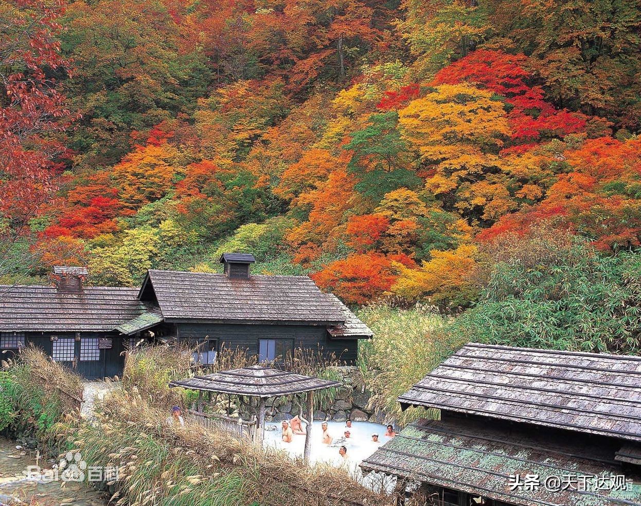 日本秋田县三大特产,秋田县