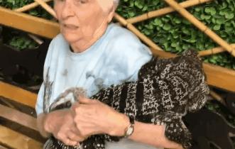 93岁奶奶恶搞27岁孙子,一夜爆红!1300万网友围观:奶奶太坑了