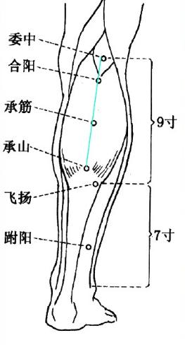 膀胱经十二正经各自的作用,内经十二经脉揭秘及应用的书