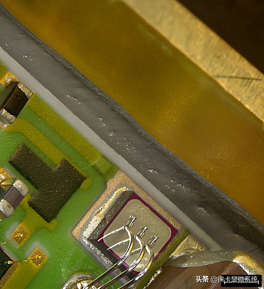 徕卡半导体显微镜,徕卡扫描电子显微镜