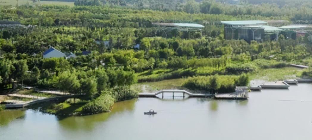 成都pk郑州哪个强,成都跟郑州谁更强