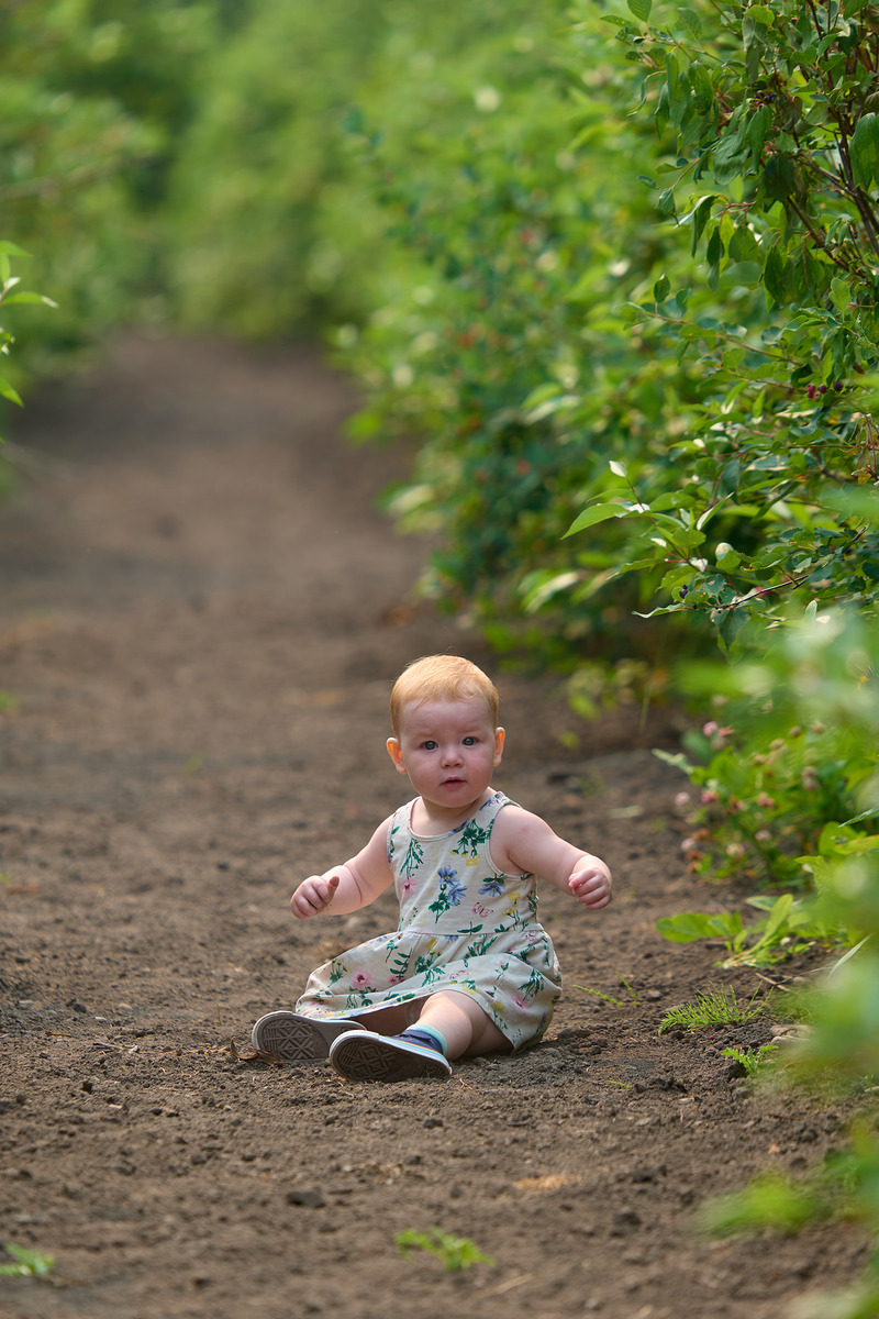 适马sigma60-600mm拍月亮,适马sigma18-50mmf2.8dcdn测评