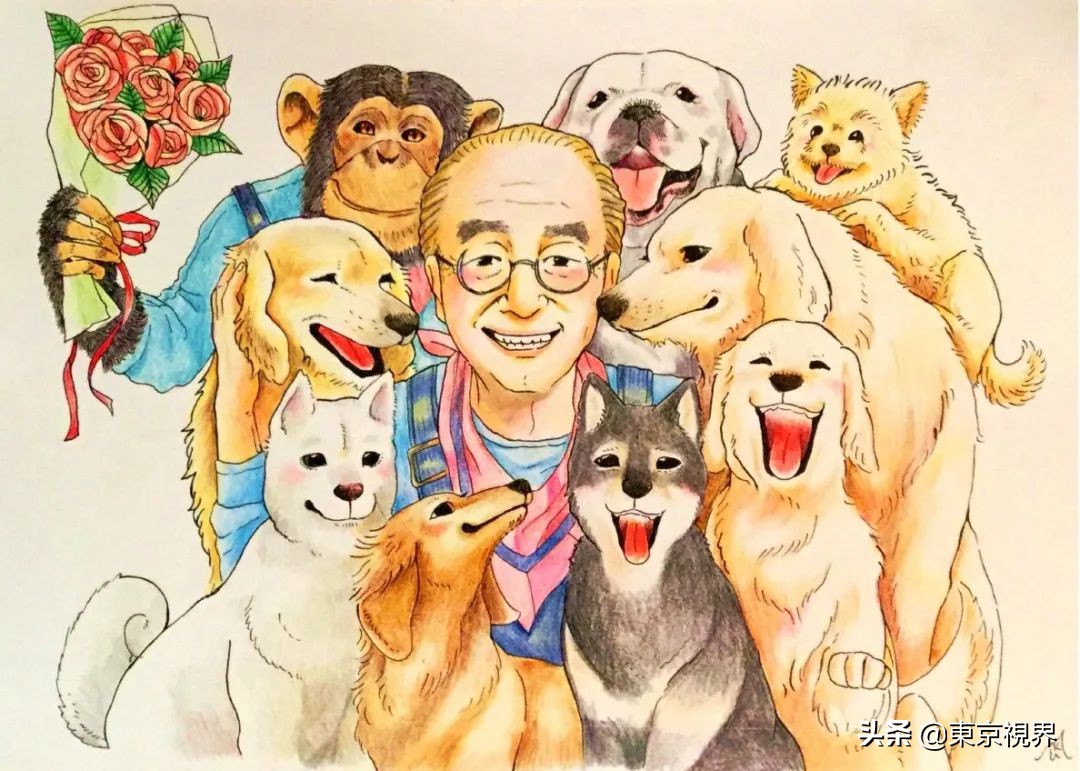 日本颠覆三观的综艺都有哪些,日本三大顶级综艺在哪里看