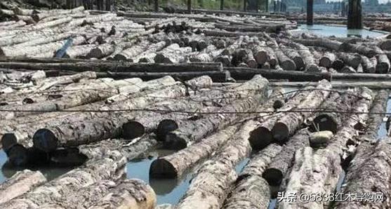 木头的臭味,木头的臭味可以用白醋去除吗