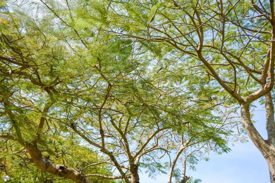 亚龙湾亲子酒店推荐适合带孩子,亚龙湾最适合亲子游的度假酒店