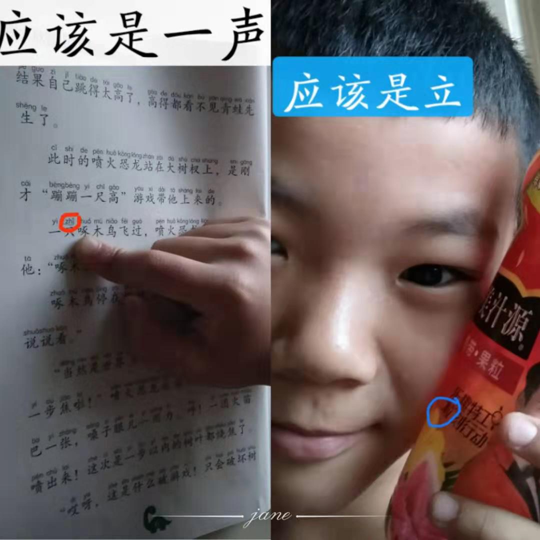 小学啄木鸟行动校外纠正错别字,啄木鸟找错别字实践活动