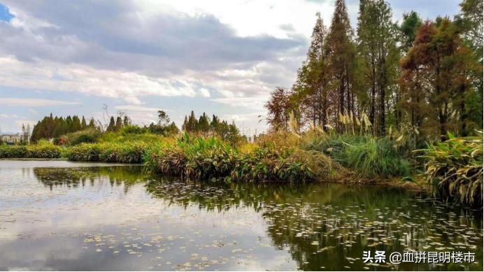南市区教育大盘,实探学区