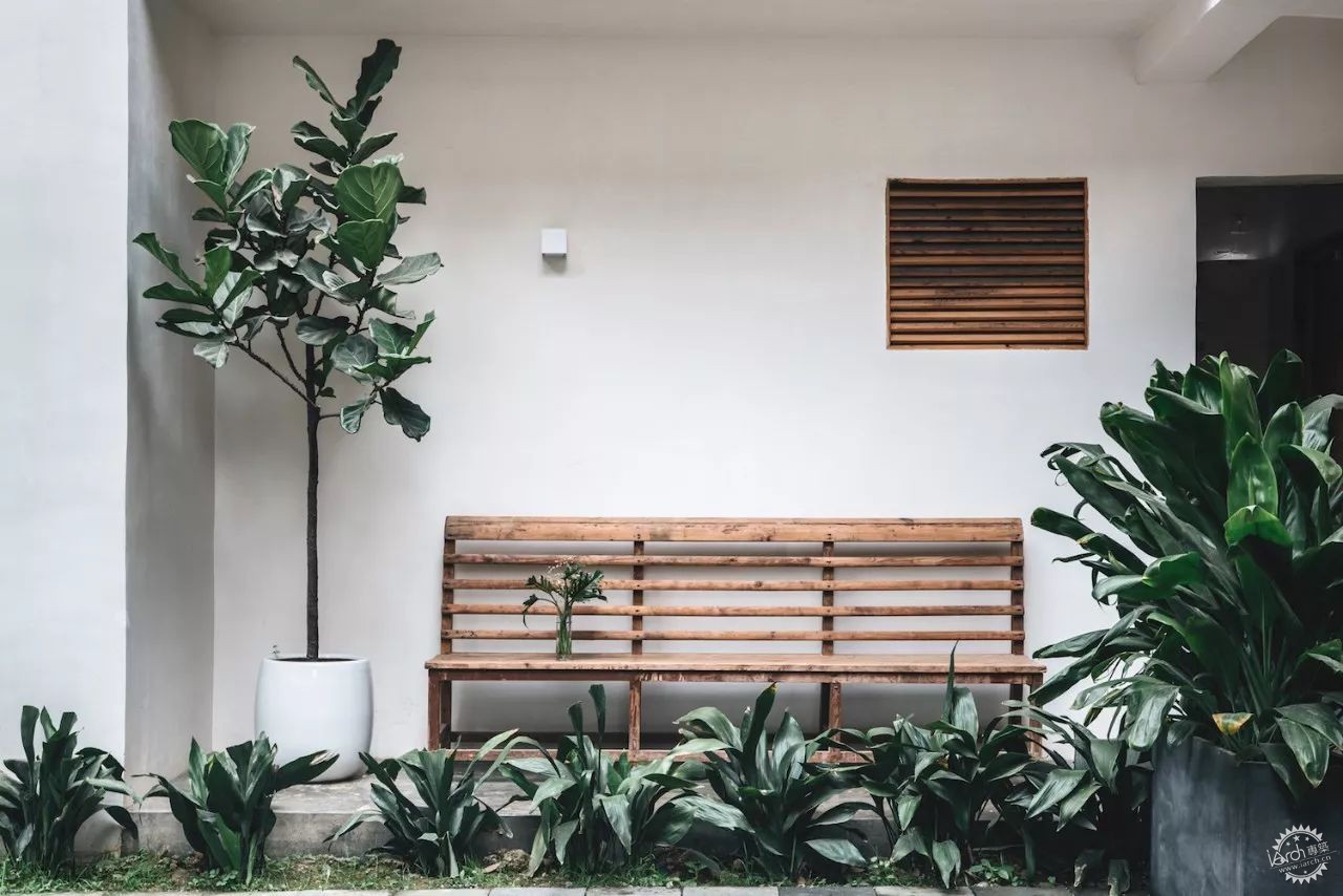 sasa，西西，设计师老王和三圣乡的“亲家DearHome”