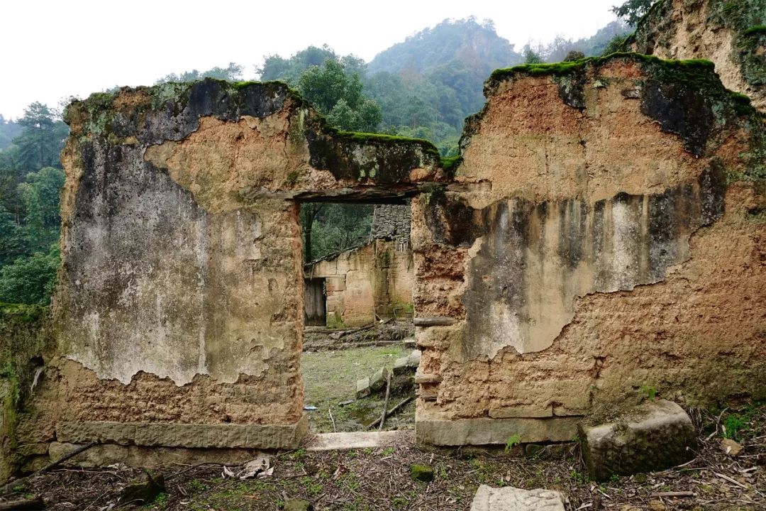 一家四口倾家荡产在山里造房隐居：3年零收入，坚持不通车