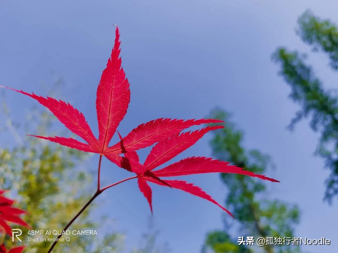 等你读懂会穿越时空，写给我家自闭症谱系女王的一封鸡毛信