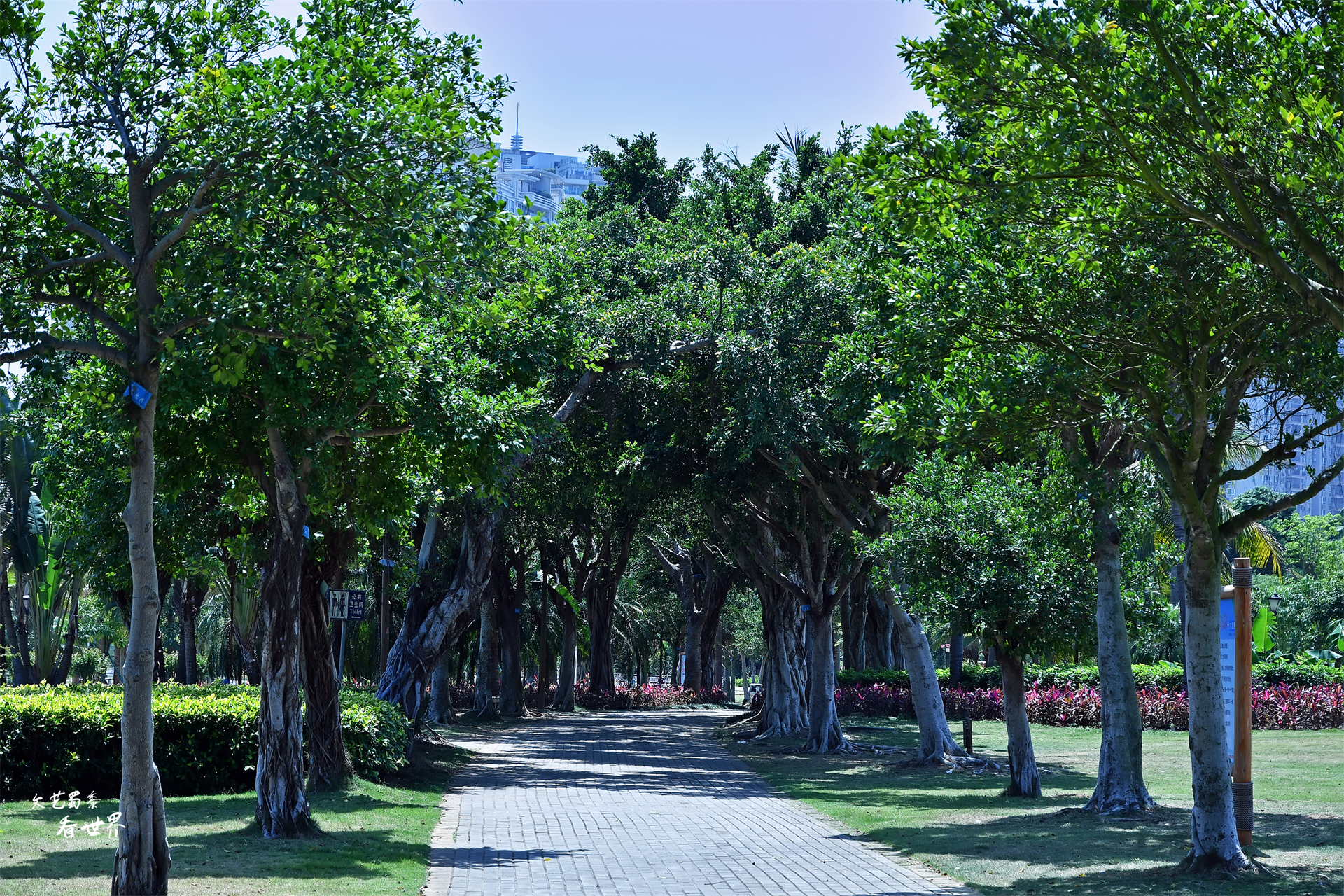 北方人去三亚过冬好吗,北方人养老适合去哪里