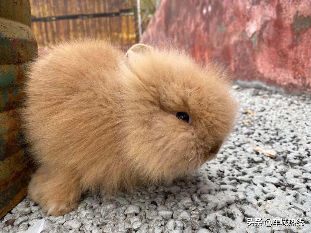 十堰市雨过天晴,十堰市晴好天气