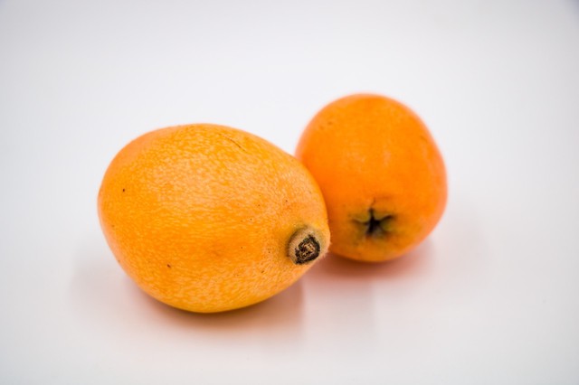 立秋润肺止咳化痰的药,健脾止咳润肺的药有哪些