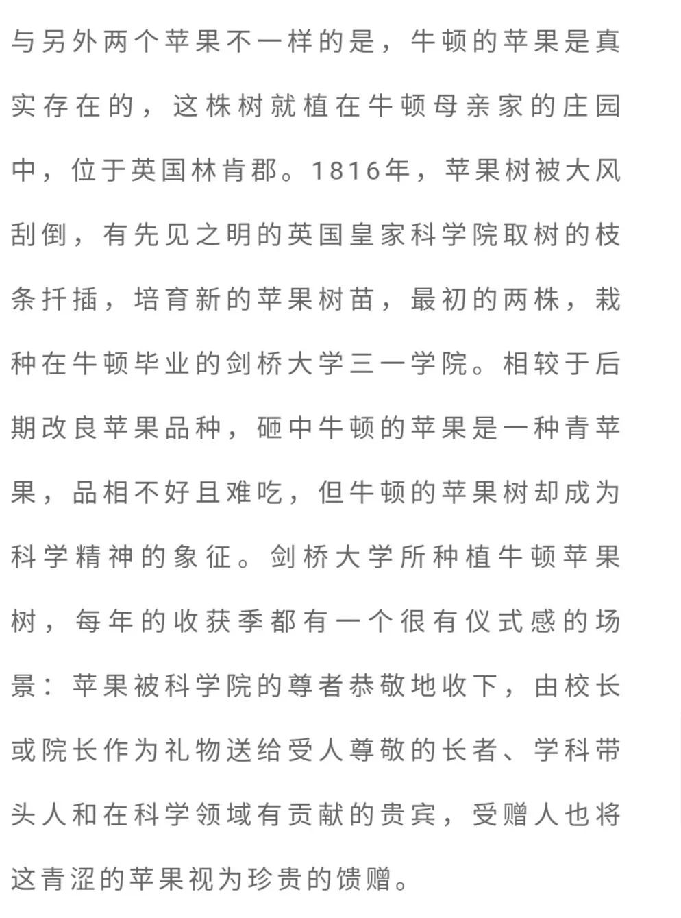 「书香佳韵」厦门市中级人民法院黄鸣鹤：台阶上的皂角树