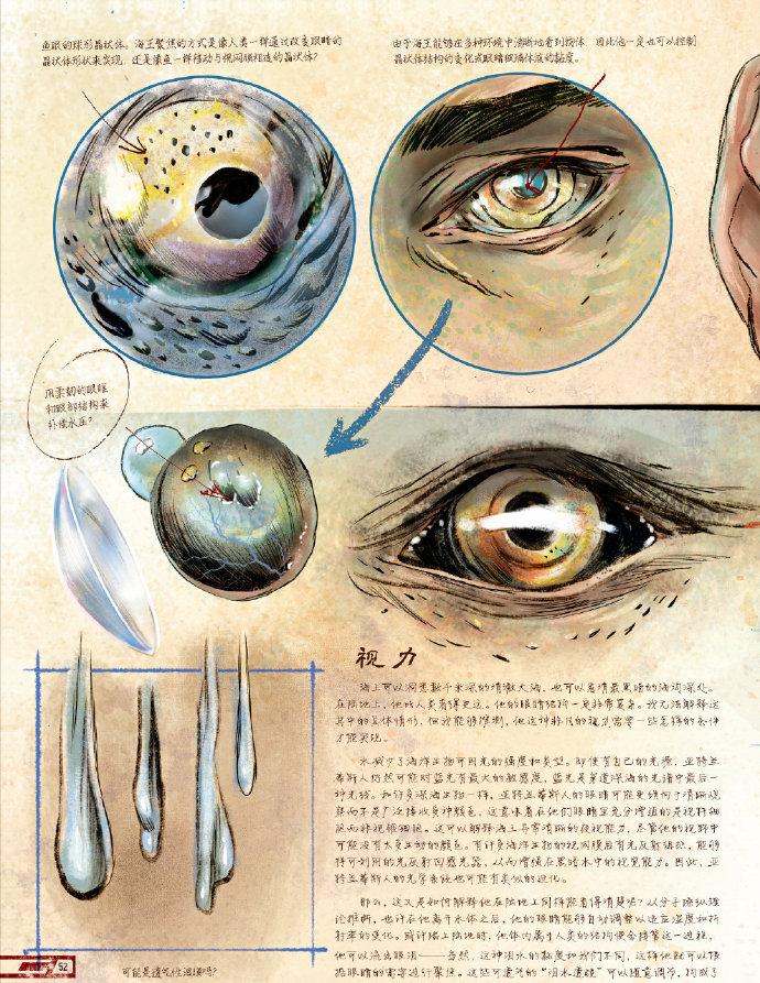 蝙蝠侠手记超人类绝密档案,蝙蝠侠绝密笔记