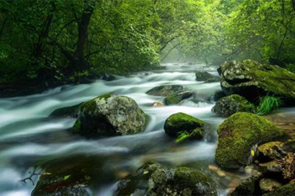 描写的是夏天美景的诗词,夏天的诗词大全300首