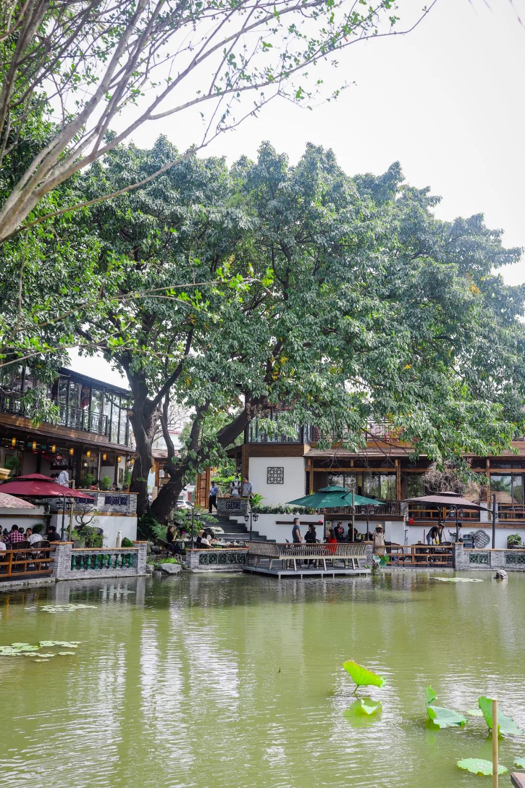 顺德十大隐蔽餐厅,顺德隐藏的餐厅