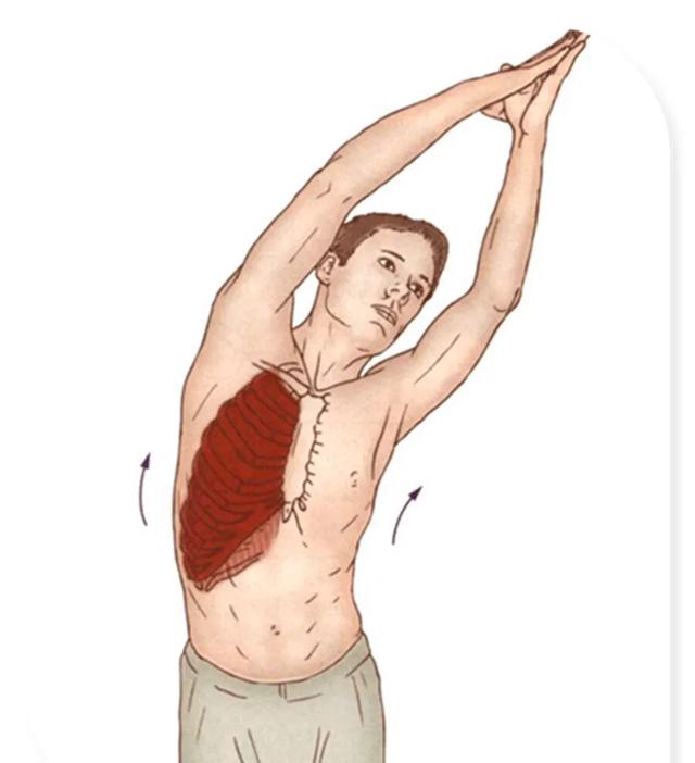 孕期喘不上气吸氧有用吗,孕期经常吃完饭后喘不上来气