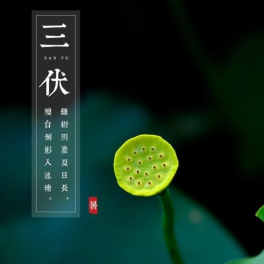 三伏天怎么计算，从哪天开始，你知道吗？学不会包赔！