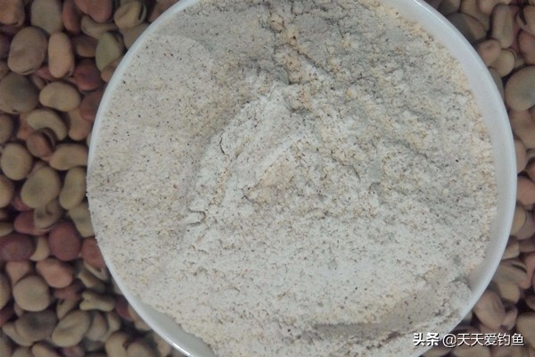 野钓冬季大鲫鱼最佳饵料,秋天野钓大板鲫的饵料