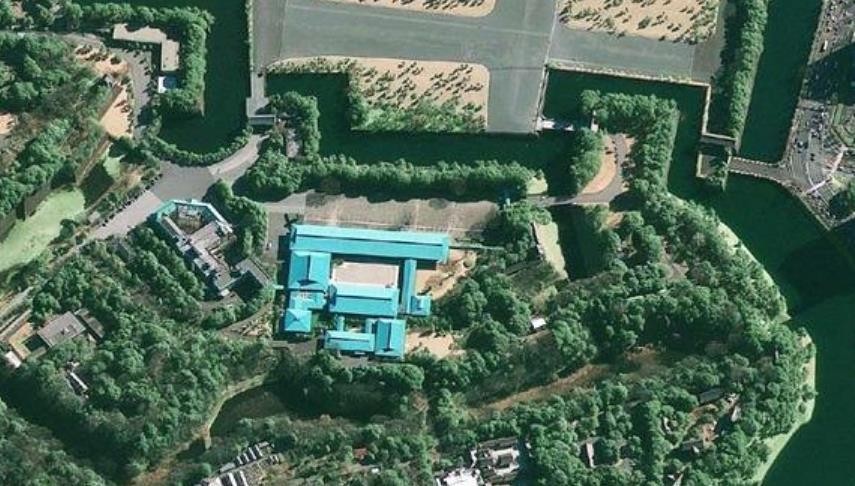 太阳鱼在中国能泛滥成灾吗,太阳鱼入侵的危险