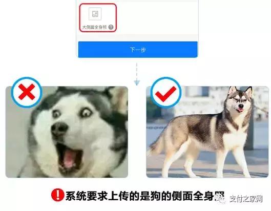 中国石油加油站有几种支付方式,中国石油银联二维码支付步骤