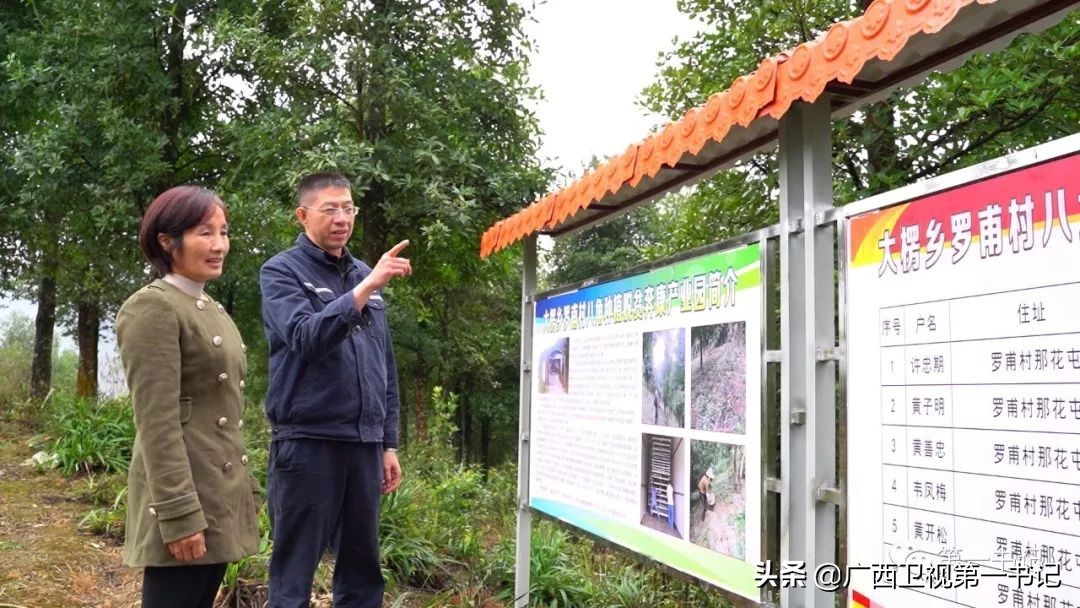 右江河畔好风光,百色右江河畔