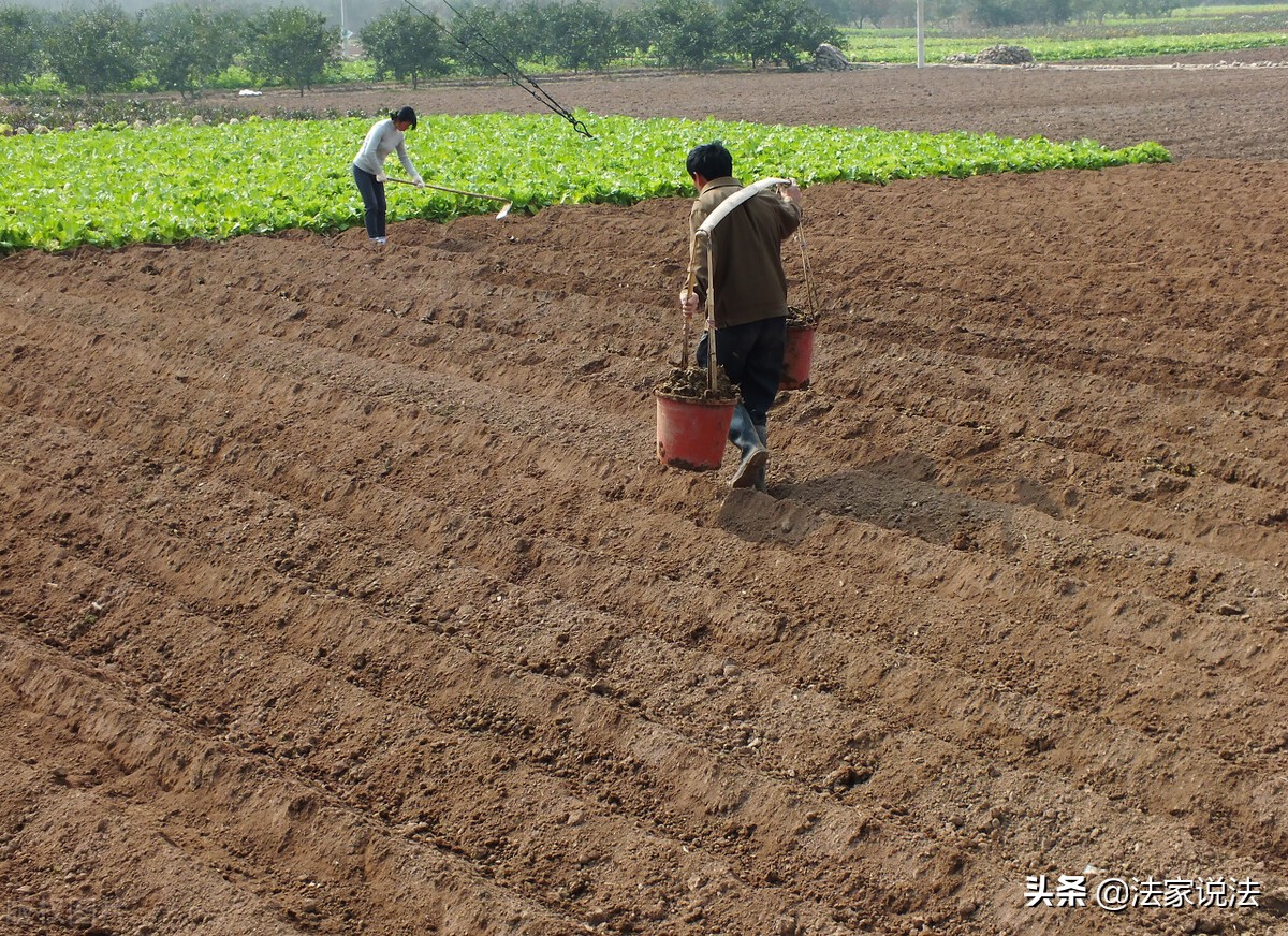 在自己承包地上蔬菜大棚被强拆,集体土地违法强拆赔偿判决书