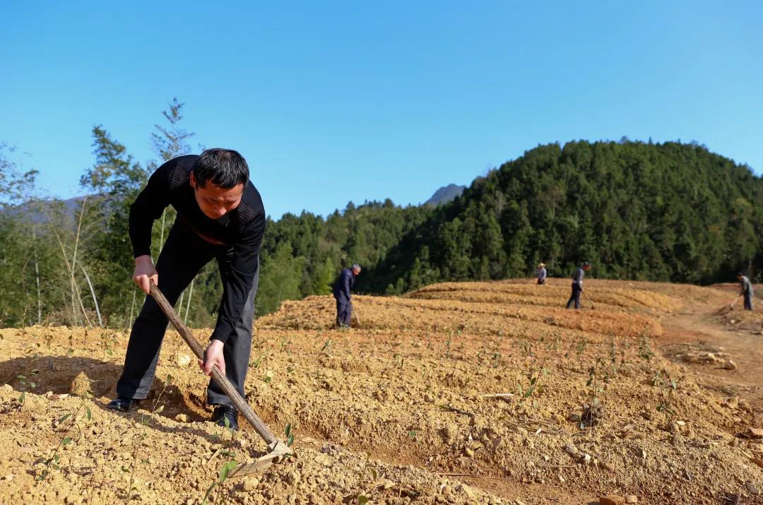 以真人真事改编微电影,真人真事改编的感人片