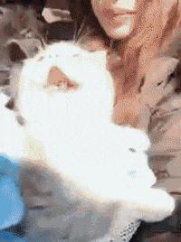 搞笑gif开心一刻原来高手在民间,搞笑gif你大爷果然还是你大爷