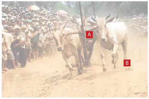 舞台舞蹈拍摄技巧,体育活动拍摄方法