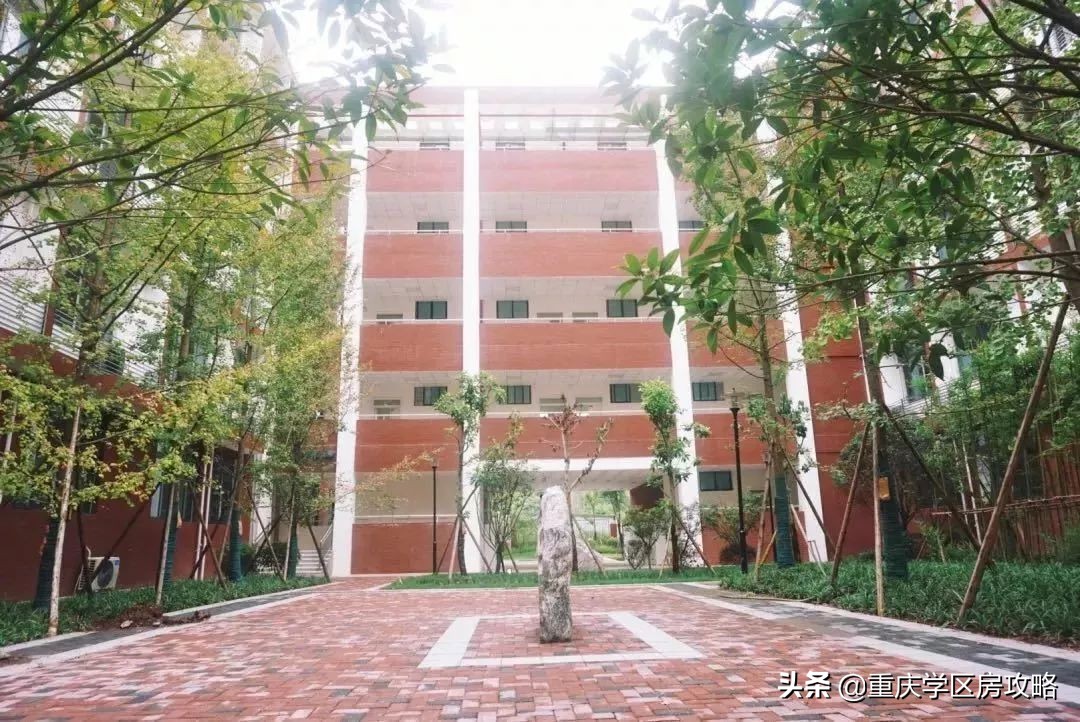 南岸区初中联招上线率,南岸区优质中学