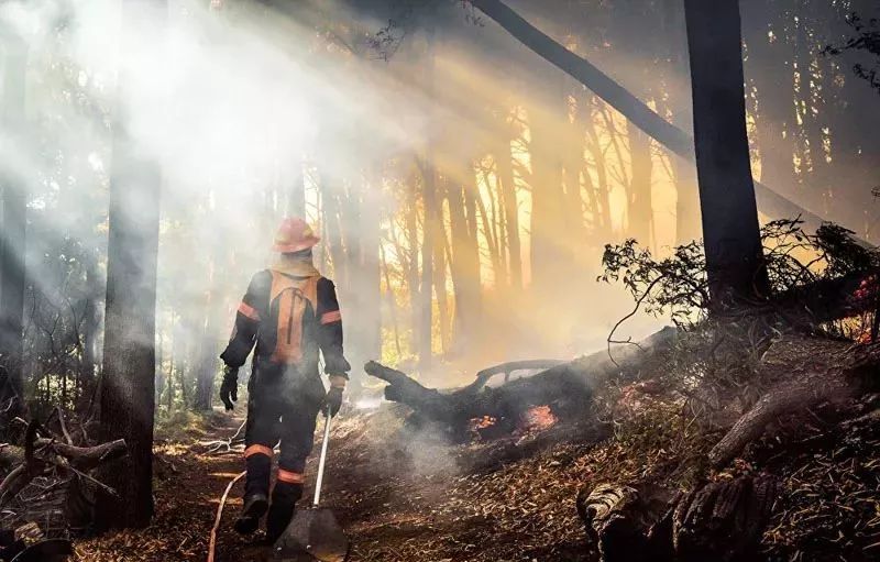 世界新闻摄影大赛获奖作品,国际新闻摄影