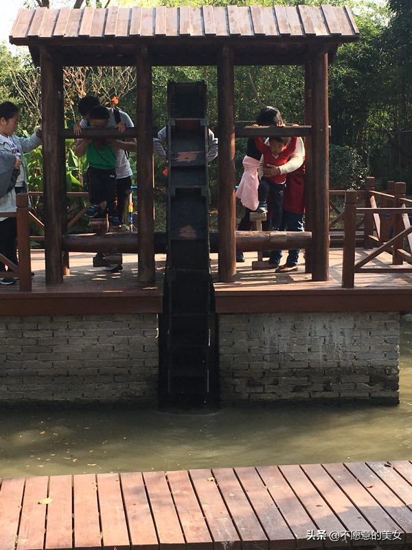 可爱的少妇自拍越来越丰满越来越成熟了