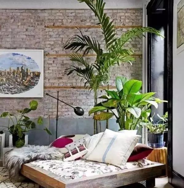 吸甲醛吸苯植物十大排行榜,什么绿色植物吸甲醛和苯