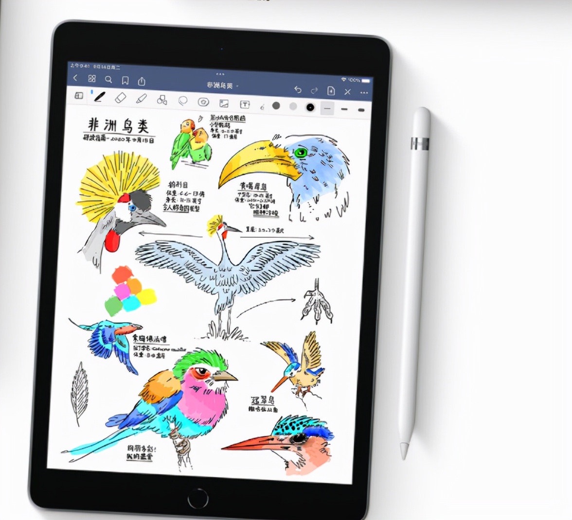 苹果一次性买断软件,苹果一次性买断的软件