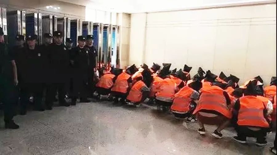 长春警方抓获诈骗团伙,警察破获保健品诈骗案