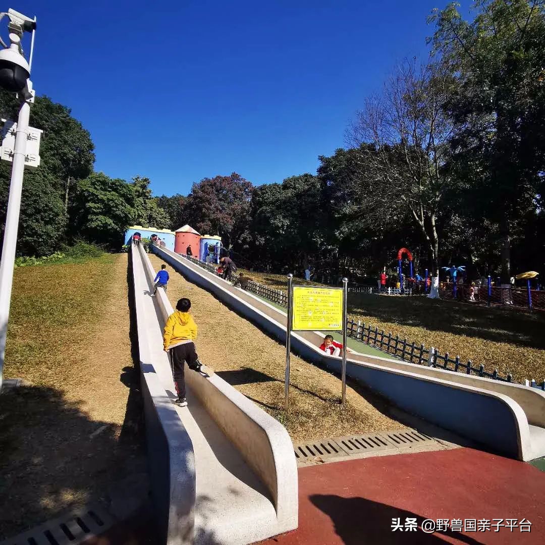 广州遛娃旅游推荐路线攻略,广州遛娃清单升级版