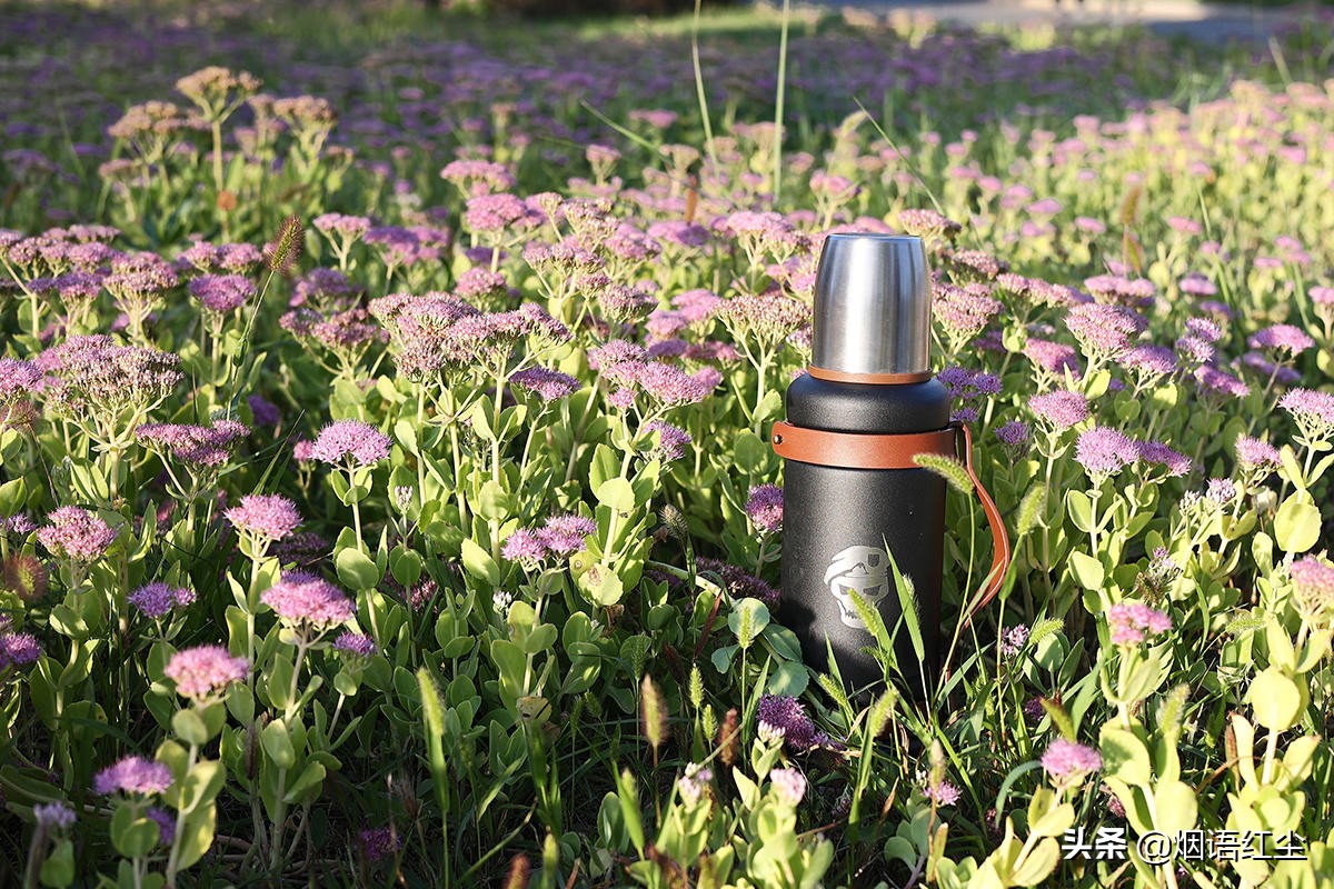 SOG索格户外装备,自驾游索格保温壶评测