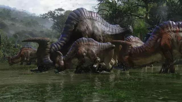 为什么不喜欢在电影院看电影,为什么现在很少见3d电影了