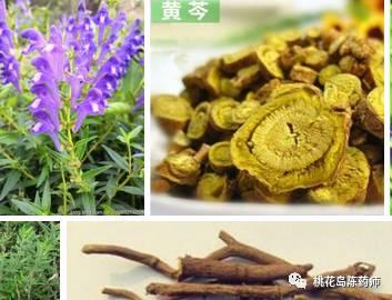 常用300种中药饮片的名称,凌霄花中药饮片别名