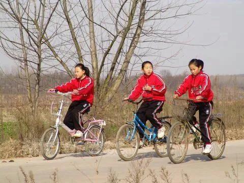 平凡的世界歌曲,平凡的世界我去弄了个时兴的发型