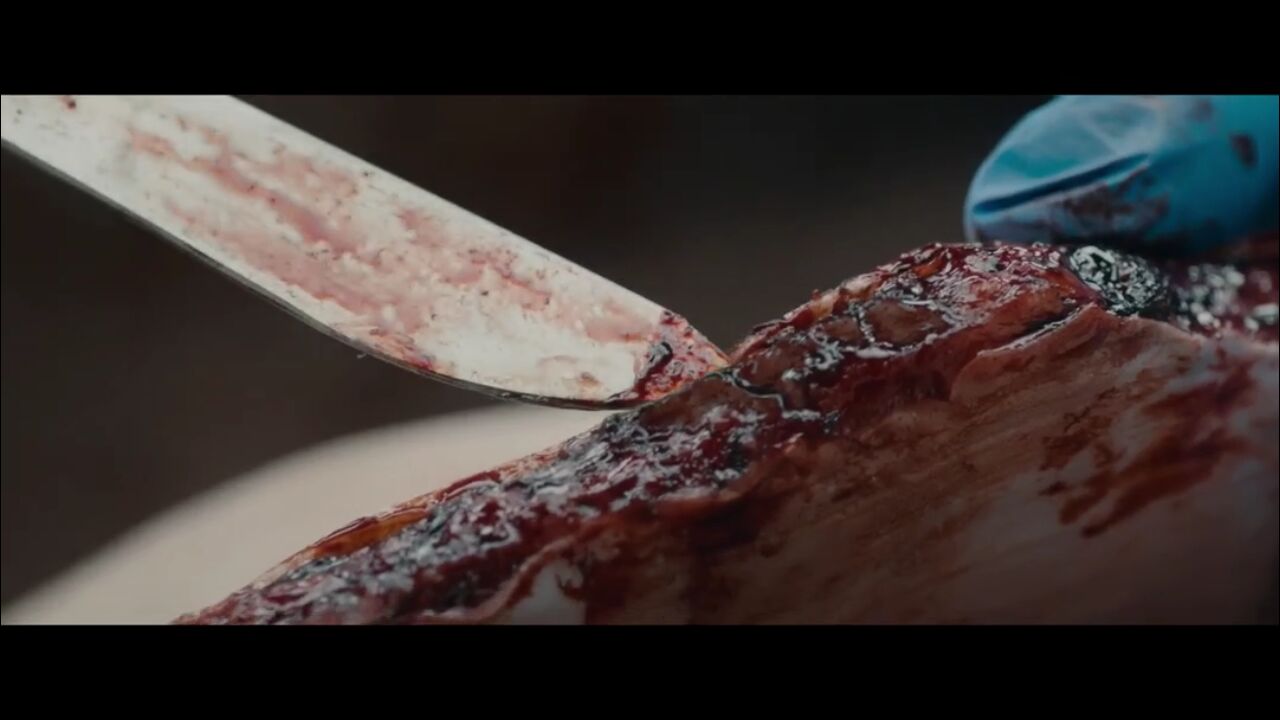 女主角竟是绝色女尸?含爱情、亲情的精彩惊悚片——《无名女尸》