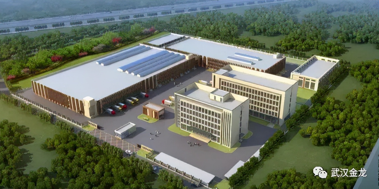 武汉金龙王军：盲目扩张、急功近利…非洲猪瘟对行业的影响与变革正在显现|猪业视点