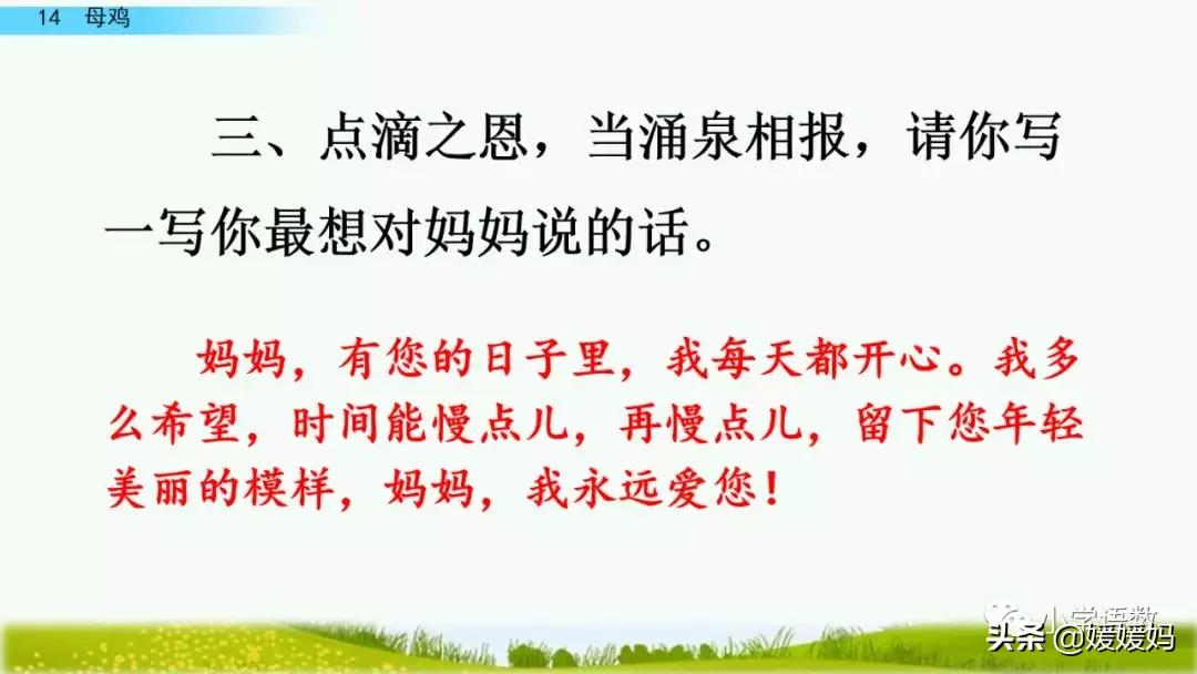 四年级下册第13课小练笔仿写母鸡,四年级下册14课母鸡的预习完整版