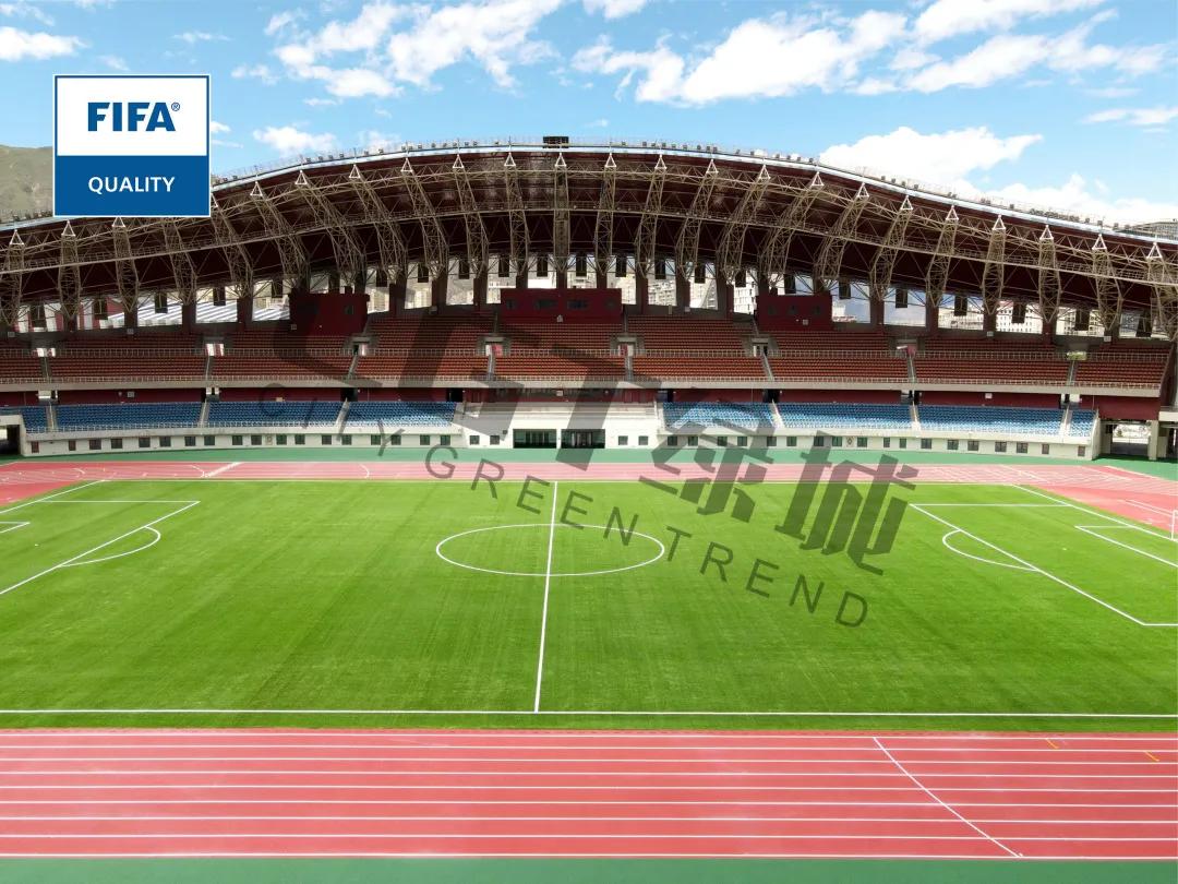 cgt缁垮煄鑻辫秴,cgt缁垮煄浣撹偛浜т笟闆嗗洟