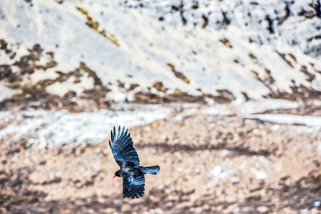 四川甘孜的亚丁稻城,四川稻城亚丁蓝色星球上的净土