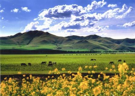 河北省张家口市合村并镇,张家口市在中国城市排名