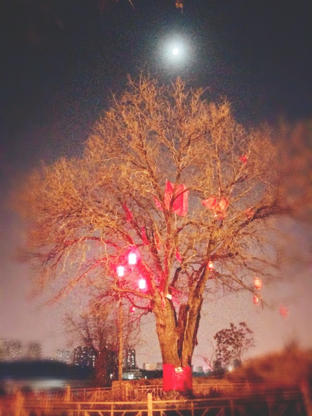 疫情过后创业机会怎么样,疫情过后创业做什么项目比较好呢