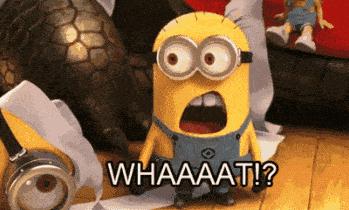 案件聚焦骗保险,案件聚焦房产交易诈骗